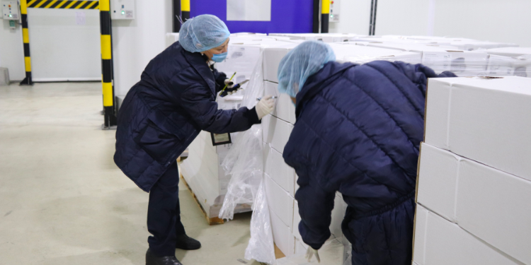 Acciones sanitarias de Agricultura impidieron ingreso a México de 191 plagas cuarentenarias