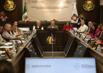 Integran Agricultura y Gobierno de Baja California Sur plan de trabajo para potenciar sector primario del estado
