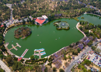 Rescatan 26.2 hectáreas para 34 nuevos humedales