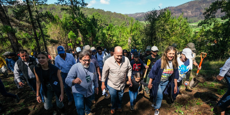 Arranca Enrique Alfaro actividades de reforestación en la Sierra de Tapalpa