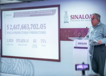 Gobierno del Estado de Sinaloa ha pagado al 75% de productoras y productores de Maíz