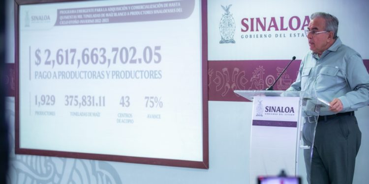 Gobierno del Estado de Sinaloa ha pagado al 75% de productoras y productores de Maíz