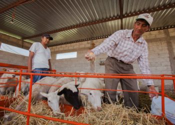 Aumenta en 10.3 millones la población en seguridad alimentaria de 2018 a 2022