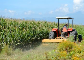 Ofrece Agricultura información en torno a escenarios climáticos y sus efectos en cultivos