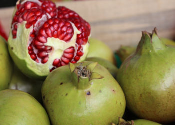 Listos los ingredientes del chile en nogada para acompañar los festejos patrios; su abasto está garantizado