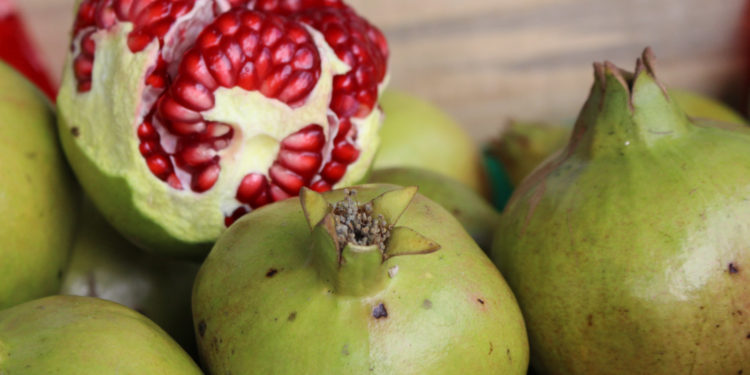 Listos los ingredientes del chile en nogada para acompañar los festejos patrios; su abasto está garantizado