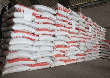 Aumenta Agricultura en más de 26 mil el número de beneficiarios con fertilizante gratuito en Guerrero