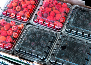 México, entre los tres principales productores mundiales de aguacate, guayaba, mango y chile verde