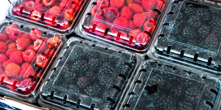 México, entre los tres principales productores mundiales de aguacate, guayaba, mango y chile verde