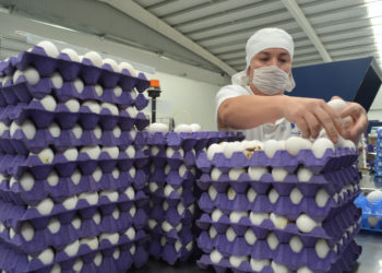 Participa México en la Reunión Ministerial de Seguridad Alimentaria del Mecanismo de Cooperación Económica Asia Pacífico (APEC)