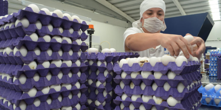 Participa México en la Reunión Ministerial de Seguridad Alimentaria del Mecanismo de Cooperación Económica Asia Pacífico (APEC)