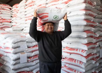 Avanza 87.5 por ciento la entrega de fertilizante gratuito en Aguascalientes: Agricultura