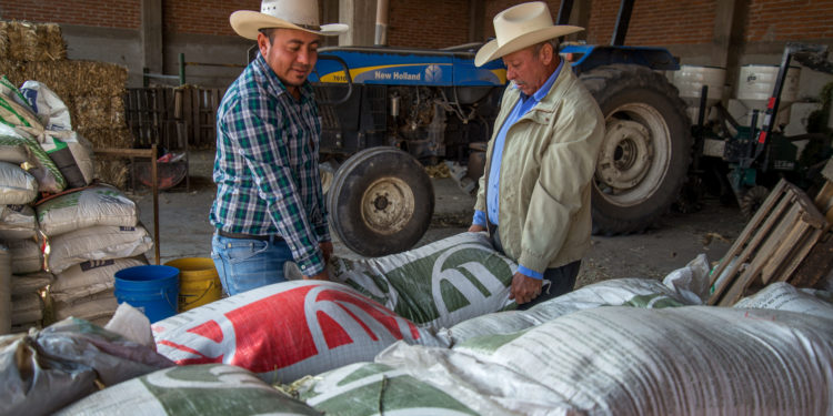 Arranca Agricultura entrega de fertilizante gratuito en San Luis Potosí