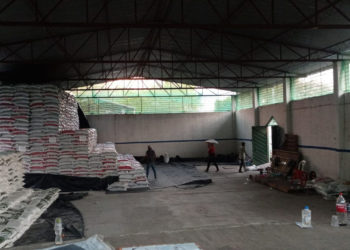 Beneficia fertilizante gratuito a más de 19 mil hectáreas de cultivos básicos en Querétaro a la fecha: Agricultura