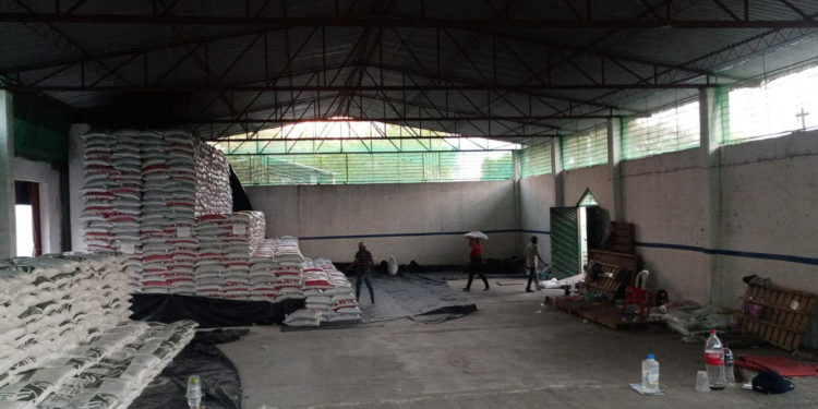 Beneficia fertilizante gratuito a más de 19 mil hectáreas de cultivos básicos en Querétaro a la fecha: Agricultura