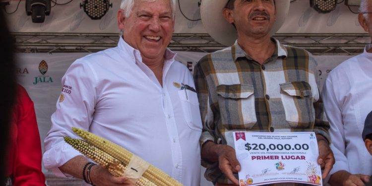 Premian a productores de los elotes más grandes del mundo en Jala, Nayarit