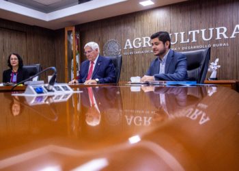 De alto impacto productivo ambiental, actividad polinizadora de las abejas: Villalobos Arámbula