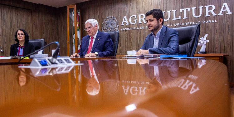 De alto impacto productivo ambiental, actividad polinizadora de las abejas: Villalobos Arámbula