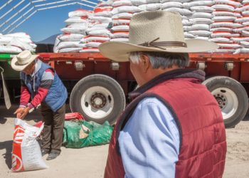 Invierte Gobierno de México más de mil 900 mdp para entregar fertilizantes en Sinaloa