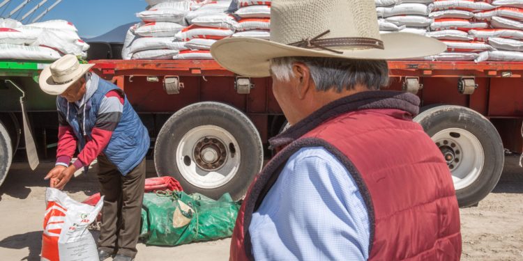 Invierte Gobierno de México más de mil 900 mdp para entregar fertilizantes en Sinaloa