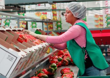 Realiza México secuenciación de genoma de tercera generación para detectar oportunamente patógenos en productos frescos