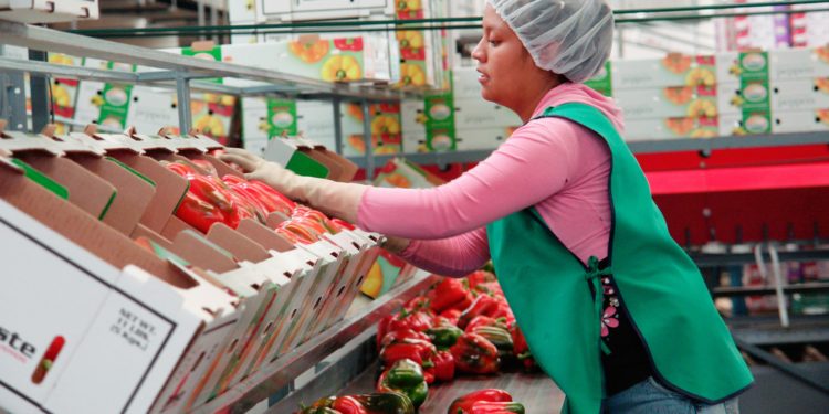 Realiza México secuenciación de genoma de tercera generación para detectar oportunamente patógenos en productos frescos