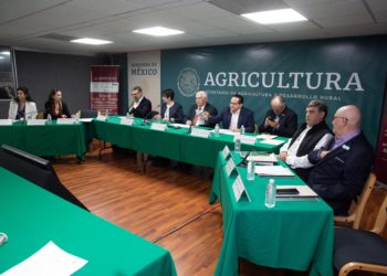 México, punta de lanza en políticas en favor de la cafeticultura sustentable