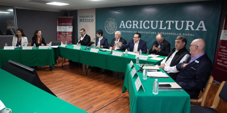 México, punta de lanza en políticas en favor de la cafeticultura sustentable