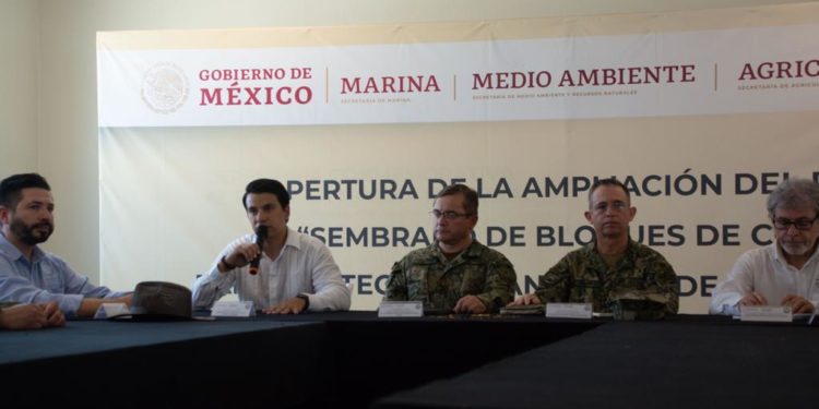 Inicia la ampliación del proyecto “sembrado de bloques de concreto” para proteger el santuario de la vaquita marina