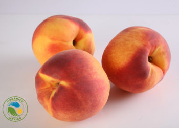 Publica Agricultura convocatoria para organismos de certificación de productos orgánicos