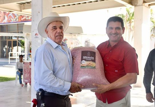 Ampliarán el programa de entrega de semillas para establecimiento de praderas