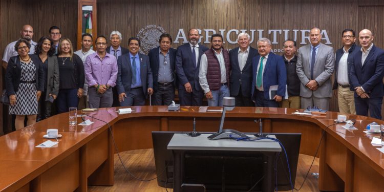 Anuncia Agricultura iniciativa para obtener la declaración de indicación geográfica “Pulpo Maya de la península de Yucatán”