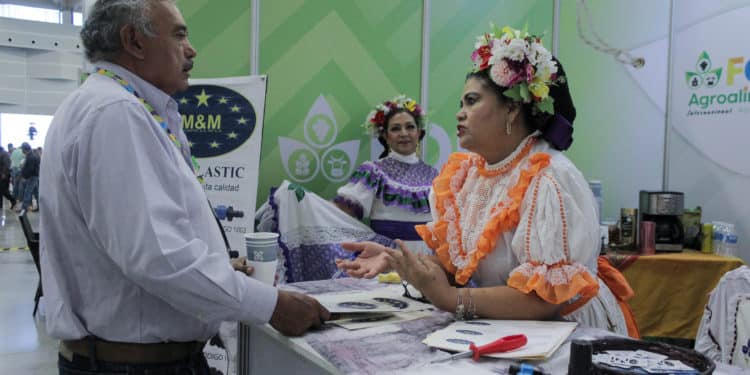 Se adapta sector agroalimentario mexicano a los desafíos climáticos y de comercialización: Agricultura