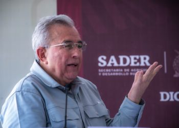 Las tiendas comunitarias son un acierto de seguridad alimentaria: Rocha Moya