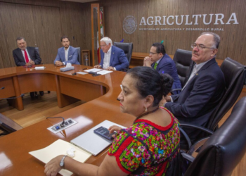 Pone en marcha Agricultura plan agronómico integral para proteger la producción nacional de cítricos