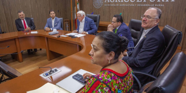 Pone en marcha Agricultura plan agronómico integral para proteger la producción nacional de cítricos