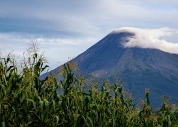 El gobierno de Colima inaugura la exposición fotográfica ‘Milpa, saberes y vida’.