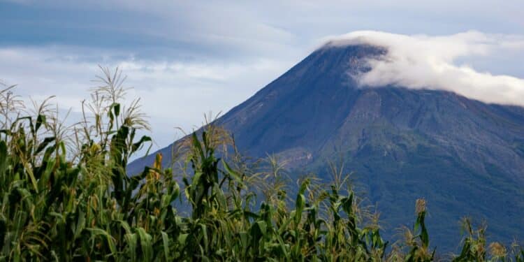 El gobierno de Colima inaugura la exposición fotográfica ‘Milpa, saberes y vida’.