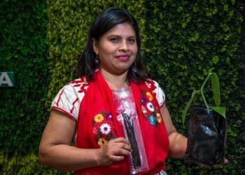 Declara Agricultura el 16 de diciembre de cada año como Día Nacional de la Vainilla