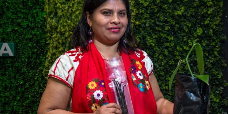 Declara Agricultura el 16 de diciembre de cada año como Día Nacional de la Vainilla