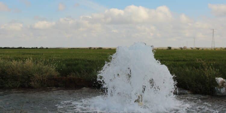EN MARCHA EL CONCURSO «HAGAMOS TIKTOK CON CIENCIA DEL AGUA»