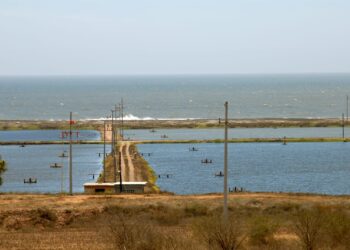 Invita Conapesca a personas productoras acuícolas al Programa de apoyo en el pago del consumo de energía eléctrica 2025