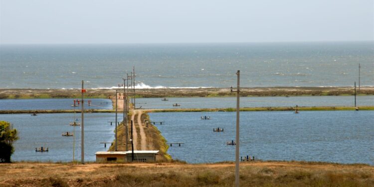 Invita Conapesca a personas productoras acuícolas al Programa de apoyo en el pago del consumo de energía eléctrica 2025