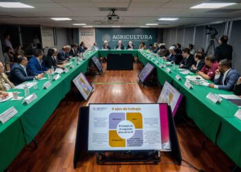Unen esfuerzos Agricultura y AMSDA para avanzar en la soberanía alimentaria de México