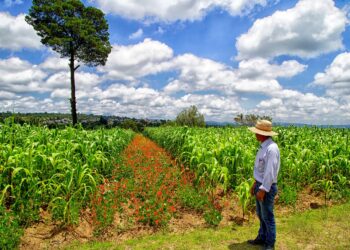 Gobierno de Tlaxcala invierte 4 mil millones de pesos en apoyo a las mujeres rurales