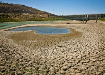 Baja California Sur enfrenta grave crisis por sequía: Ganaderos y agricultores en situación crítica