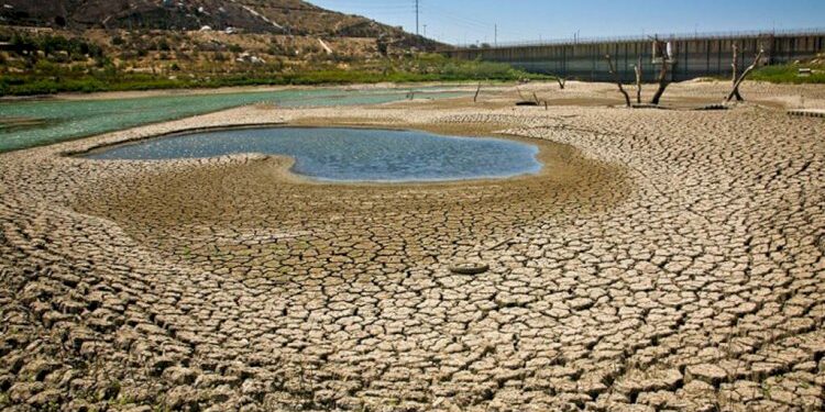 Baja California Sur enfrenta grave crisis por sequía: Ganaderos y agricultores en situación crítica