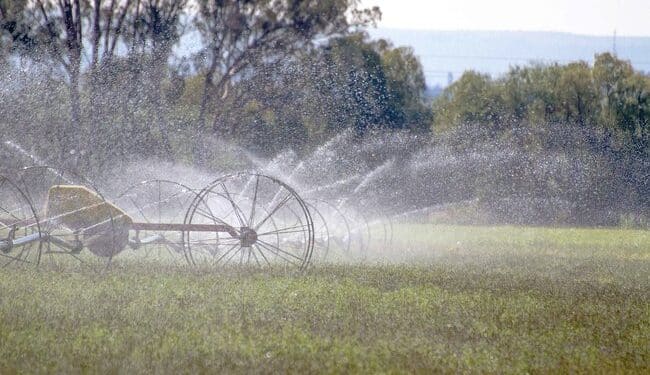 28 de febrero, fecha límite de inscripción al Programa Especial de Energía para el campo: Agricultura