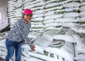 El campo también está hecho por las mujeres: AGRICULTURA prioriza su acceso al programa Fertilizantes para el Bienestar