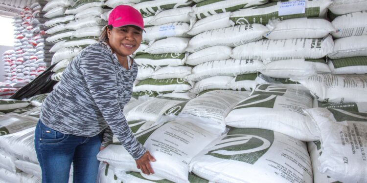 El campo también está hecho por las mujeres: AGRICULTURA prioriza su acceso al programa Fertilizantes para el Bienestar